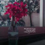 دانلود آهنگ معین و مهستی به نام تو را میخواهم (هوش مصنوعی)